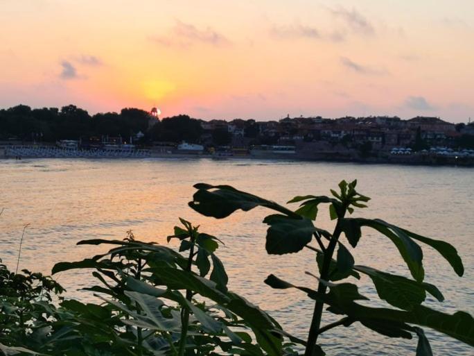 Guest House Dimovi Sozopol Exterior photo